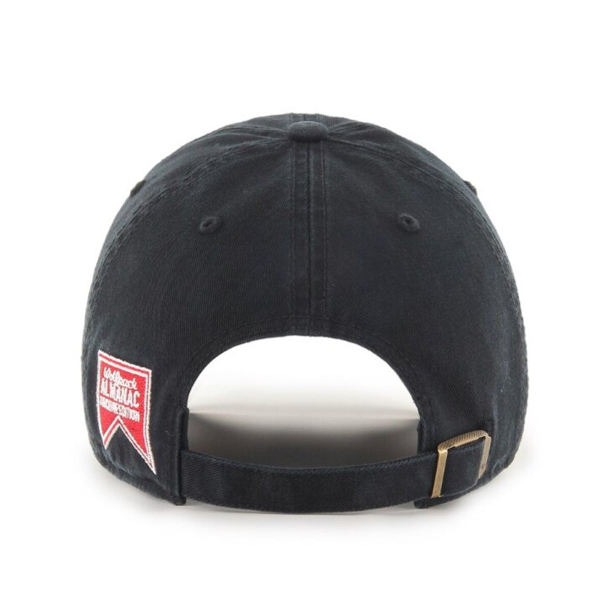 Black Adjustable Hat - Vault Wolfhe